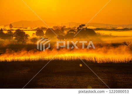 [Tochigi Prefecture_Watarase Reservoir] Sunrise over the reservoir with morning mist 122080053