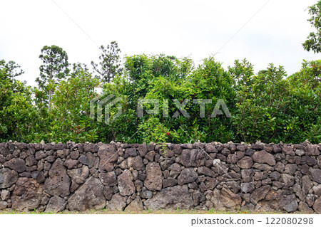 a stone wall in Jeju Island made of basalt, Korea a stone wall in Jeju Island made of basalt, Korea 122080298