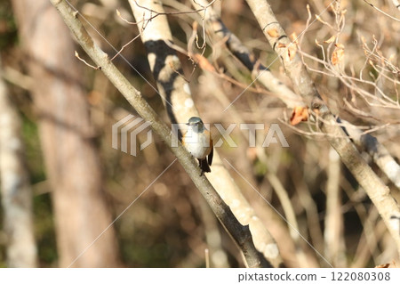 Ruribitaki的男性 122080308