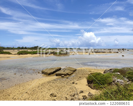 低潮時有藍綠藻的景觀 122080631