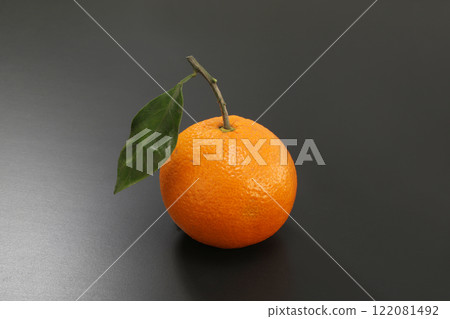 Mikan that looks delicious 122081492
