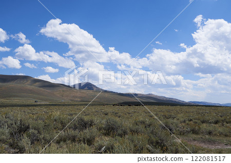 sunny grassland 122081517