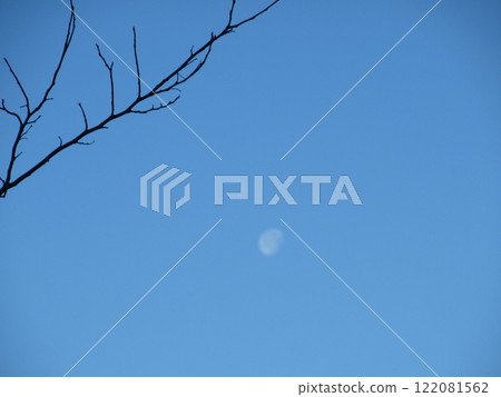月亮在冬日蔚藍的天空飄蕩在枝頭之外 月亮在冬日蔚藍的天空飄蕩在枝頭之外 122081562