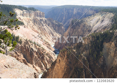 Beautiful canyon in Yellowstone's Canyon Village 122081620