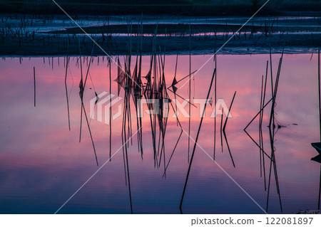 [Tochigi Prefecture_Watarase Reservoir] The Watarase River in early spring, with wooden boats floating 122081897
