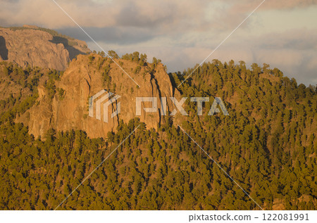 Cliff and forest. Cliff and forest. 122081991