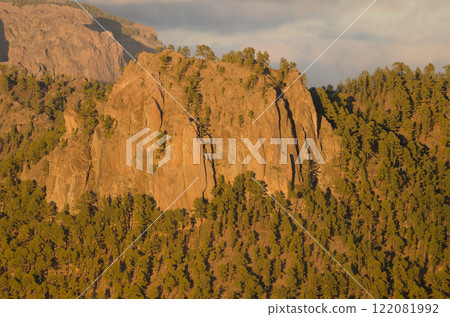 Cliff and forest. 122081992