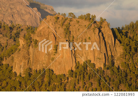 Cliff and forest. Cliff and forest. 122081993