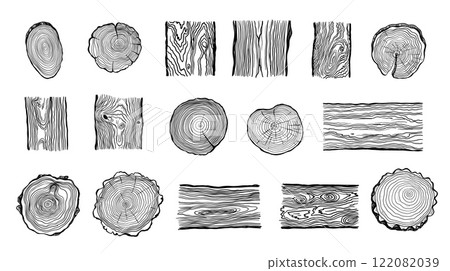 Wood rings. Round tree trunk cut with growth lines, wooden circle log with natural textured surface, carpentry material flat style. Vector isolated set 122082039