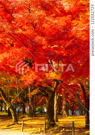 【京都風景】南禪寺，秋葉靜謐 122082724