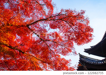 【京都風景】南禪寺，秋葉靜謐 122082735