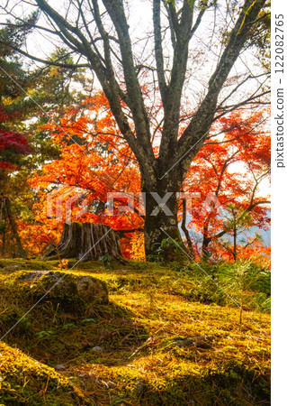 [Kyoto Scenery] Nanzenji Temple - Autumn leaves with a serene atmosphere 122082765