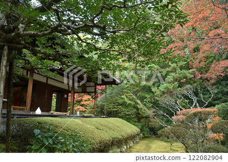 Autumn at Keishun-in Temple: Shinnyo Garden (Ukyo Ward, Kyoto City) 122082904