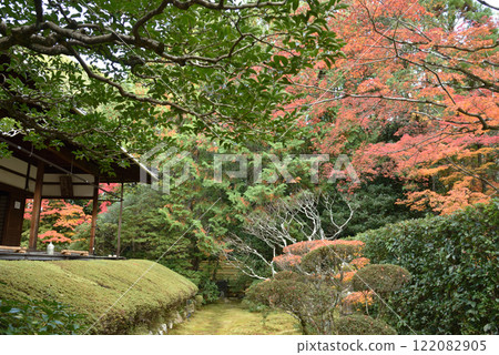 Autumn at Keishun-in Temple: Shinnyo Garden (Ukyo Ward, Kyoto City) 122082905