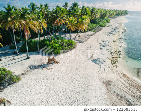 Coconut palm trees at tropical beach in Maldive island. 122083513