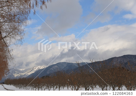 冬天的水杉樹(滋賀縣牧野町) 冬天的水杉樹(滋賀縣牧野町) 122084163