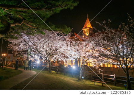 People walk at sakura tunne with Siebold no Yu light up, Ureshino People walk at sakura tunne with Siebold no Yu light up, Ureshino 122085385