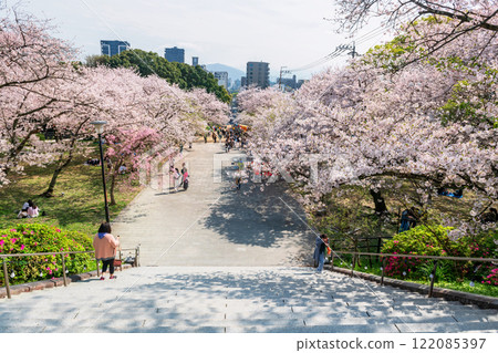 people at staircase with cherry sakura tunnel, Nishi park, Fukuoka 122085397