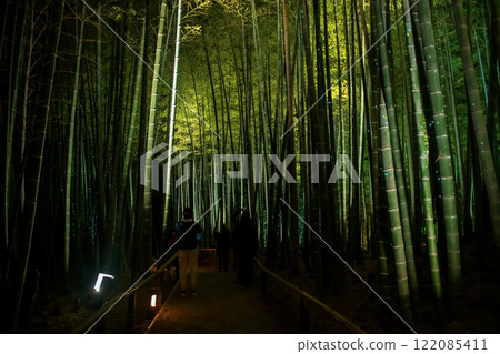 People visit Bamboo grove lit at night in Kodaiji temple, Kyoto People visit Bamboo grove lit at night in Kodaiji temple, Kyoto 122085411