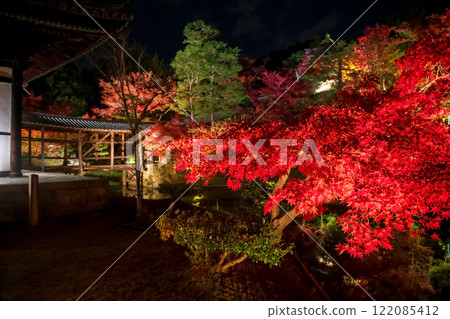 Kodaiji temple red maple leaves light up in autumn garden, Kyoto 122085412
