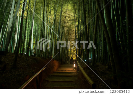 Silhouette people at Bamboo grove lit at night in Kodaiji temple, Kyoto Silhouette people at Bamboo grove lit at night in Kodaiji temple, Kyoto 122085413