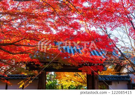 Entrance gate with falll leaf colors at sunrise, Ryoanji Temple, Kyoto 122085415