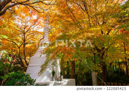 White pagoda during fall colors at Ryoanji Temple in autumn, Kyoto White pagoda during fall colors at Ryoanji Temple in autumn, Kyoto 122085423