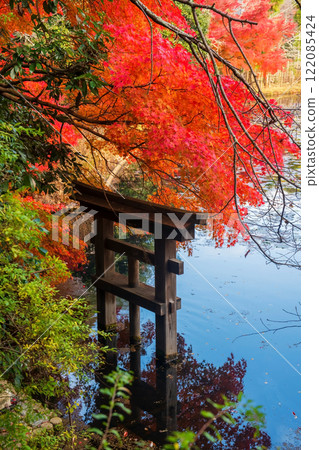 Torii gate over lake with red maple leaves at Ryoanji in autumn, Kyoto Torii gate over lake with red maple leaves at Ryoanji in autumn, Kyoto 122085424