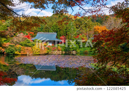 Ryoanji temple by lake with fall leaves and skyline reflection, Kyoto Ryoanji temple by lake with fall leaves and skyline reflection, Kyoto 122085425