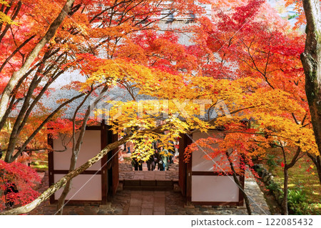 Fall leaf tunnel at entrance in Jojakkoji temple, Arashiyama, Kyoto Fall leaf tunnel at entrance in Jojakkoji temple, Arashiyama, Kyoto 122085432