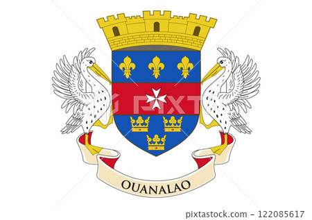 Flag of Saint Barthelemy. Collectivite territoriale de Saint-Barthelemy flag Flag of Saint Barthelemy. Collectivite territoriale de Saint-Barthelemy flag 122085617
