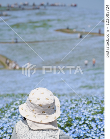 一個孩子正在觀看粉蝶花田 122085724