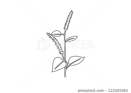 Single continuous line drawing beauty fresh amaranthus for garden logo. Decorative amaranth flower concept for home wall decoration art poster. Dynamic one line draw graphic design vector illustration 122085983