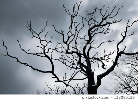 Shadowy trees at dusk under pale gray skies.AI Generated Shadowy trees at dusk under pale gray skies.AI Generated 122086126