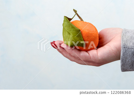 Close-up of a tangerine with a leaf on a woman's palm against a blue background. 122086368