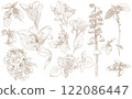Flowers and leaves set flower bud graphic monochrome drawing botany herbarium 122086447