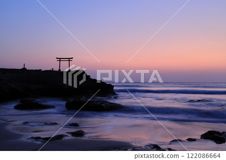 [Shizuoka Prefecture] Shirahama Shrine, Daimyojin Rock's Red Torii Gate at Dawn 122086664