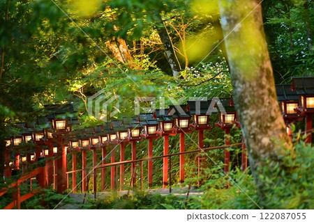 藍楓和燈籠 122087055