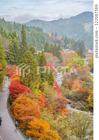 從豐田市(愛知縣)大平公園展望台欣賞的紅葉景色 從豐田市(愛知縣)大平公園展望台欣賞的紅葉景色 122087369