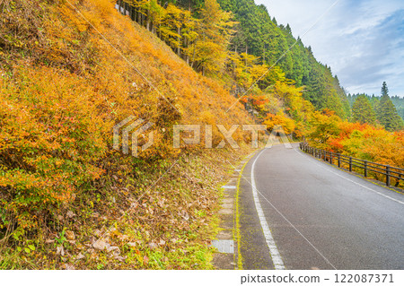 Autumn foliage at Oihira Park in Toyota City (Aichi Prefecture) 122087371