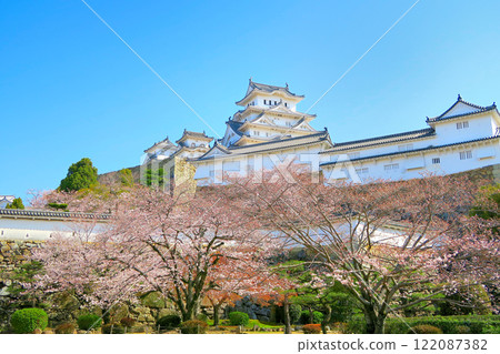 View of the cherry blossoms in full bloom at Himeji Castle from Sannomaru Square in Kansai, Himeji, Hyogo Prefecture (7) 122087382