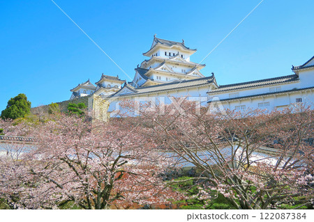 關西、姬路、姬路城、從兵庫縣姬路市三之丸廣場看到的姬路城盛開 (9) 122087384