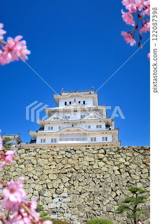 關西, 姬路, 姬路城, 兵庫縣姬路城, 兵庫縣姬路市, 從備前丸遺址的廣場看去,裝飾著櫻花,讓人想起白鷺 (2) 關西, 姬路, 姬路城, 兵庫縣姬路城, 兵庫縣姬路市, 從備前丸遺址的廣場看去,裝飾著櫻花,讓人想起白鷺 (2) 122087398