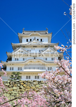 Kansai, Himeji, Himeji Castle, Bizenmaru ruins plaza, beautiful Himeji Castle like a white heron flying from the cherry blossoms in full bloom, Himeji City, Hyogo Prefecture (5) 122087409
