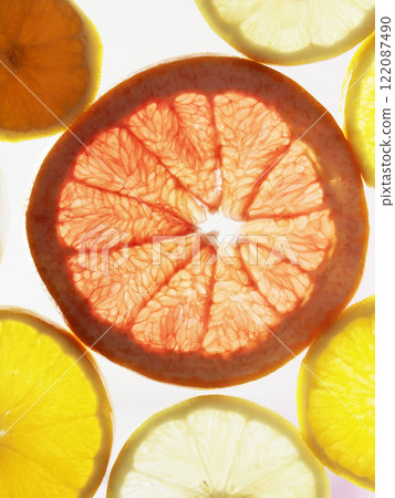 Citrus fruits shine through the light. Citrus fruits shine through the light Citrus fruits shine through the light. Citrus fruits shine through the light 122087490