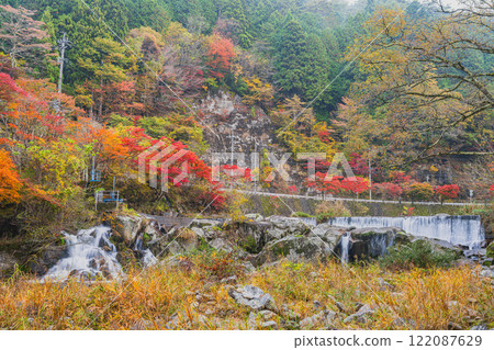 A view of the pool surrounded by autumn leaves from the observation deck of Oihira Park in Toyota City (Aichi Prefecture) 122087629