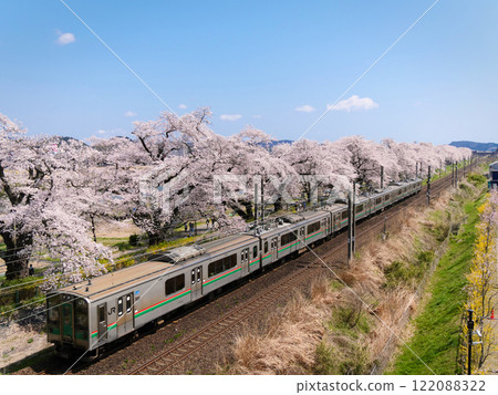 瞳千本櫻和電車（宮城縣柴田郡大河原町） 122088322