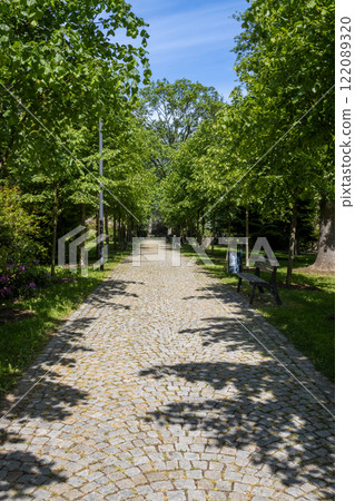 Path in a park in the spring, Zabreh, Czech republic Path in a park in the spring, Zabreh, Czech republic 122089320