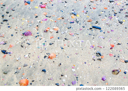 Yagatajima coast non-fan shell 122089365