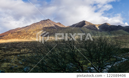 In a tranquil setting, mountains rise into the sky, illuminated by soft evening light. A stark, leafless tree stands in the foreground, adding to the serene atmosphere. 122089406